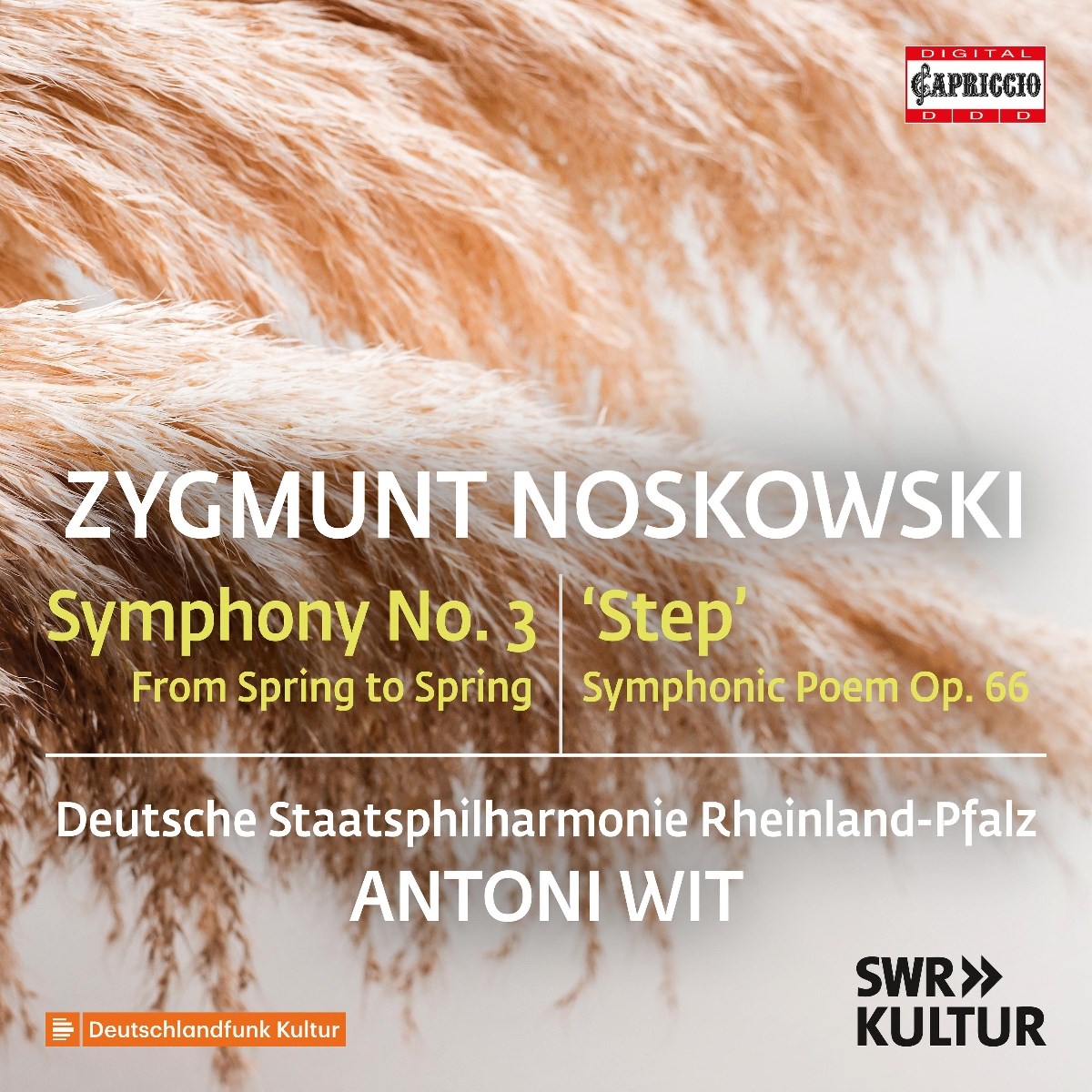 Afbeelding van Deutsche Staatsphilharmonie Rheinland-Pfalz, Antoni Wit - Noskowski: Symphony No. 3