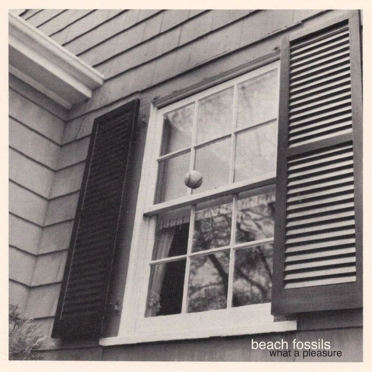 Afbeelding van Beach Fossils - What A Pleasure