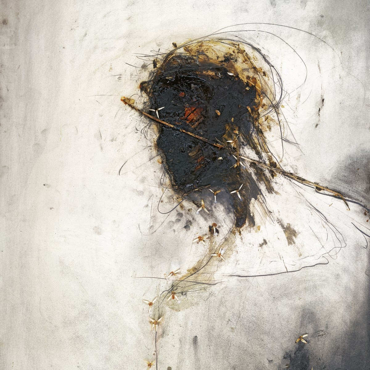Afbeelding van Peter Gabriel - Passion
