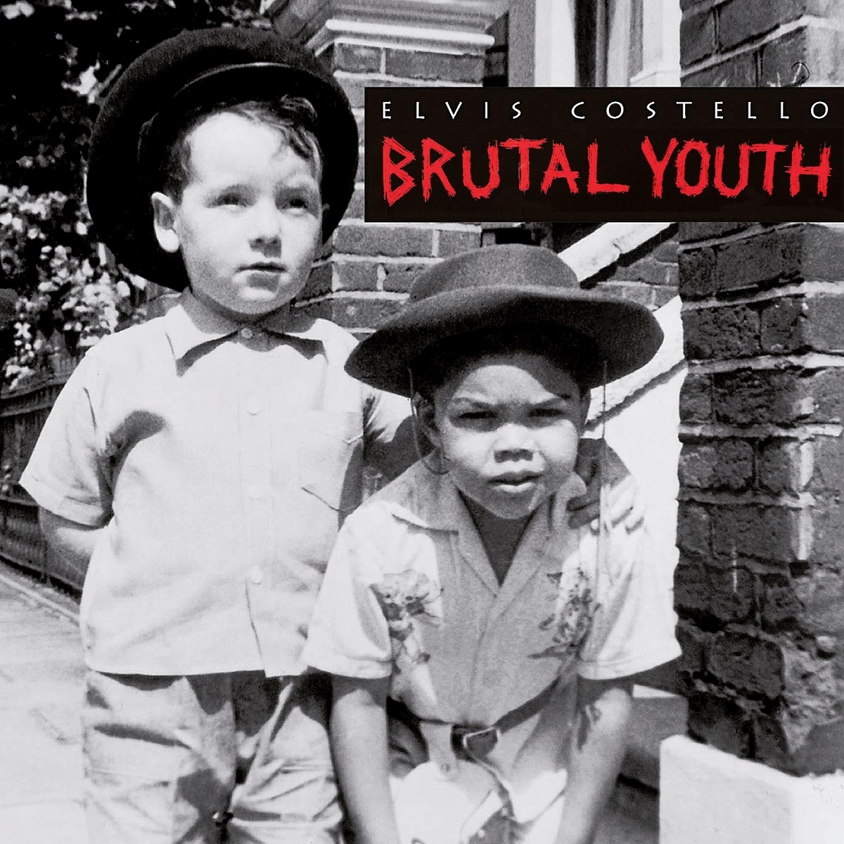 Afbeelding van Elvis Costello - Brutal Youth