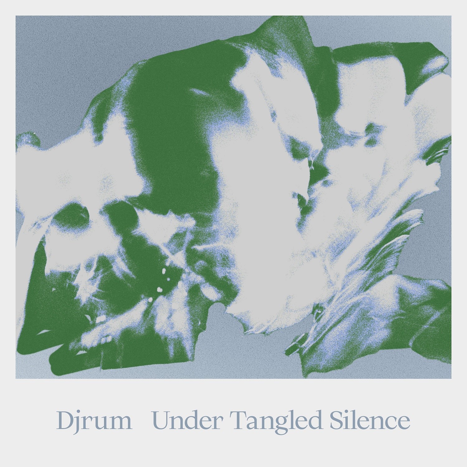 Afbeelding van Djrum - Under Tangled Silence