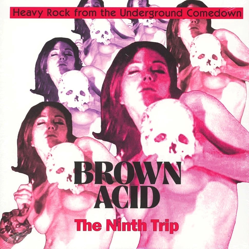 Afbeelding van Various Artists - Brown Acid: The Ninth Trip