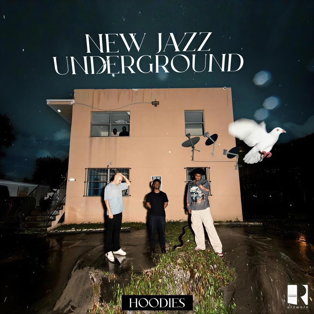 Afbeelding van New Jazz Underground - Hoodies