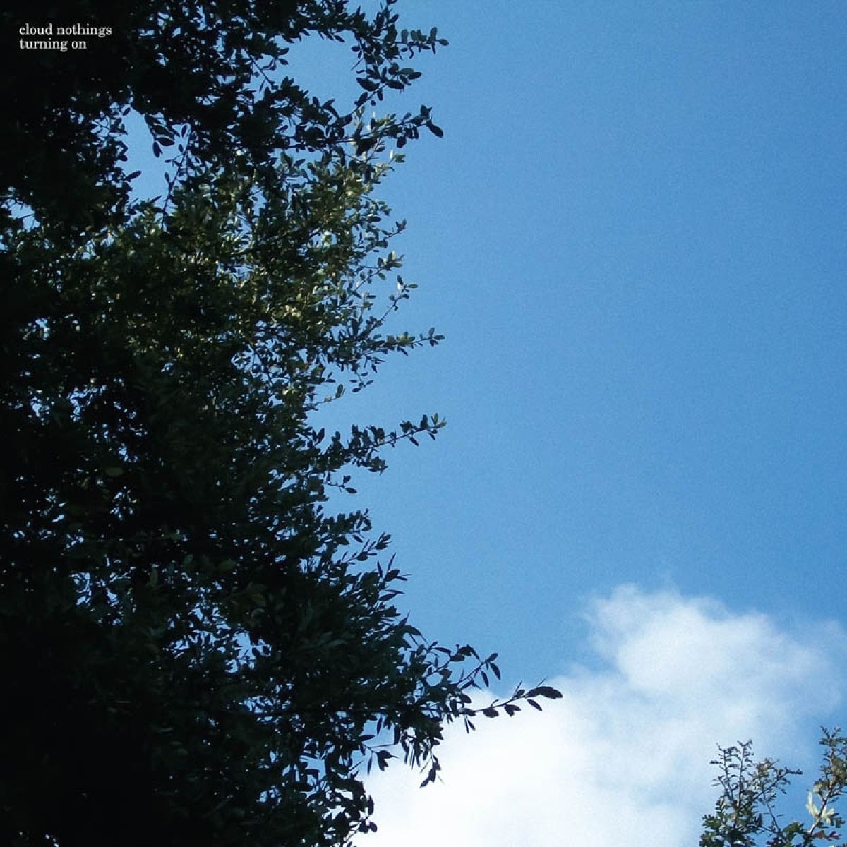 Afbeelding van Cloud Nothings - Turning On