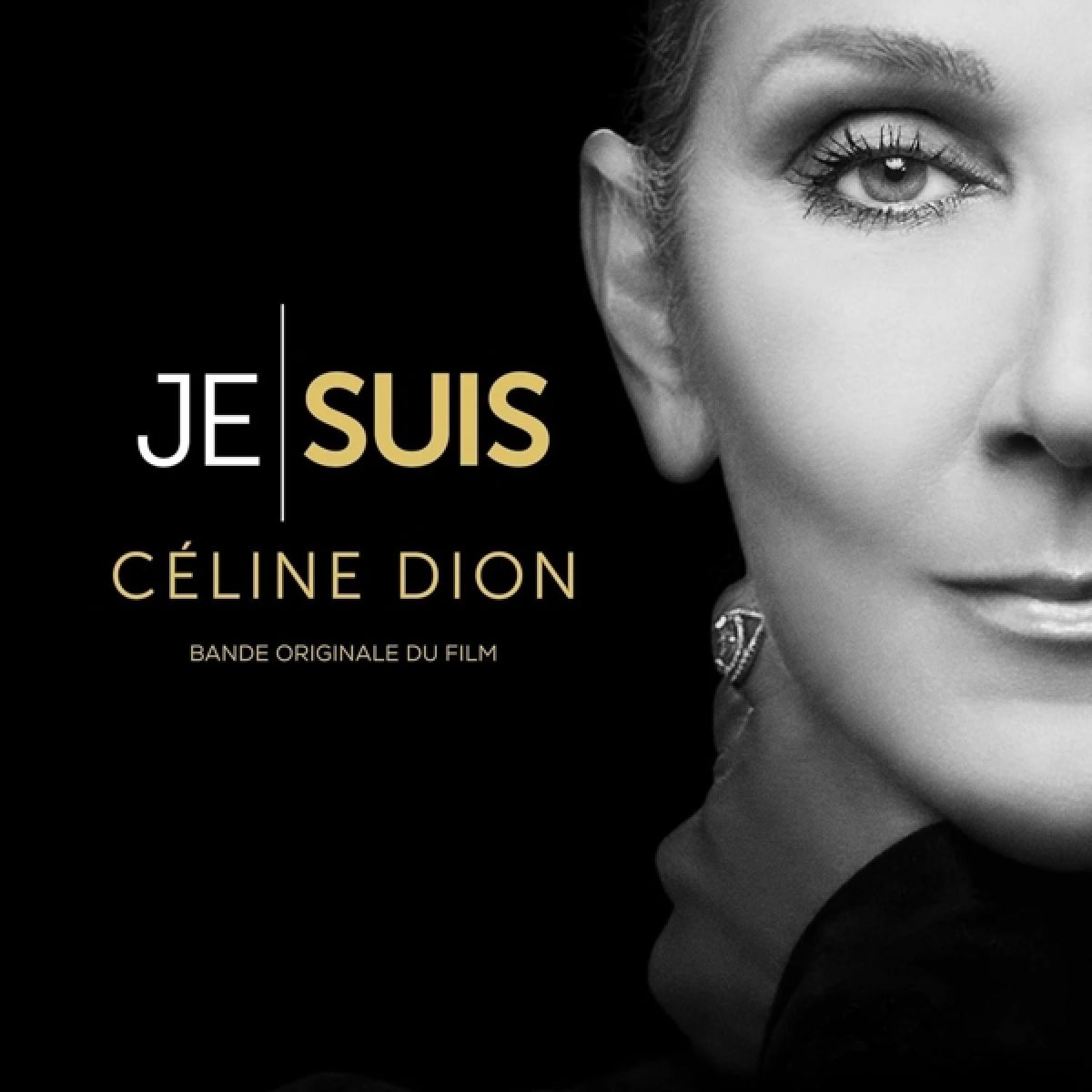 Afbeelding van I Am: Céline Dion