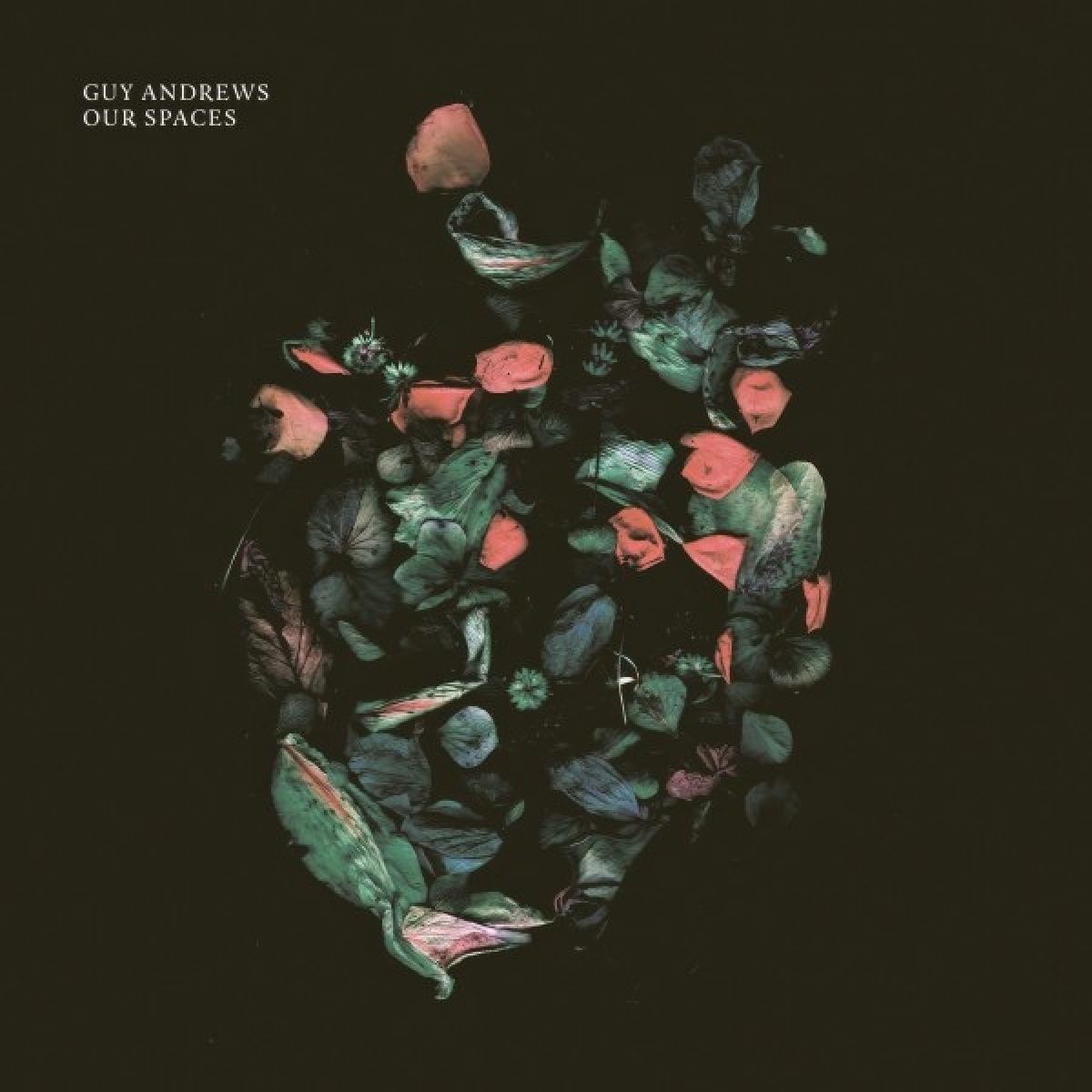 Afbeelding van Guy Andrews - Our Spaces