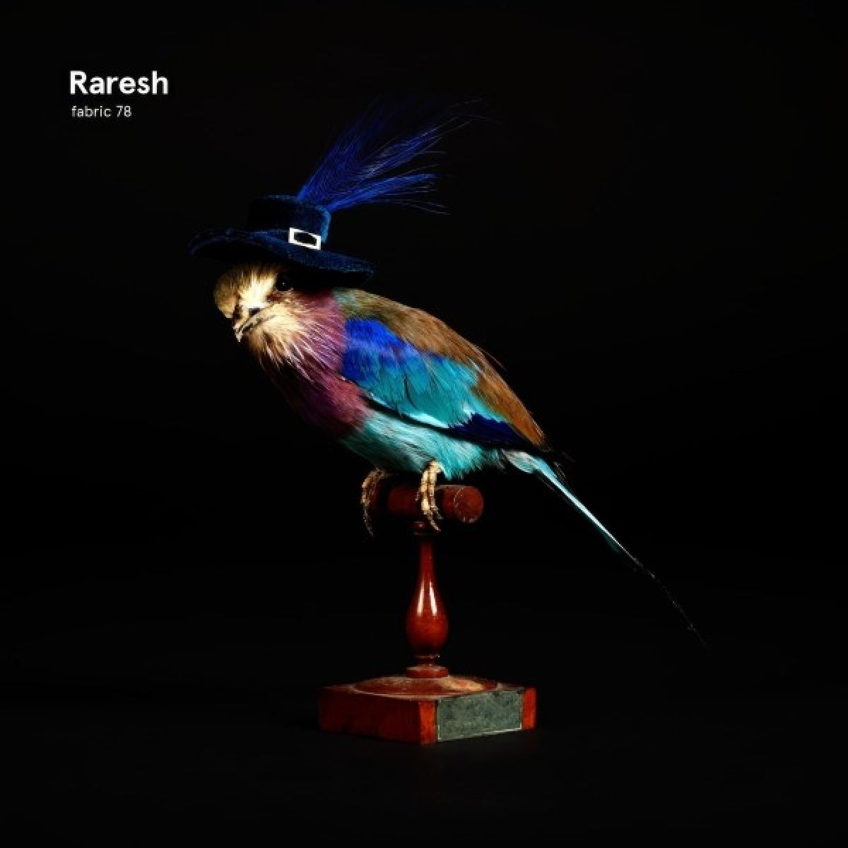 Afbeelding van Raresh - Fabric 78 Raresh