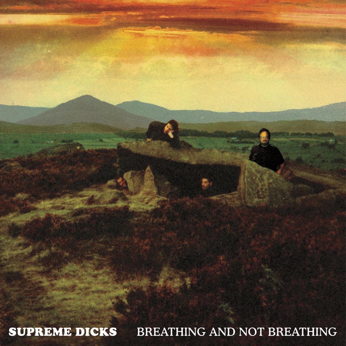 Afbeelding van Supreme Dicks - Breathing And Not Breathing