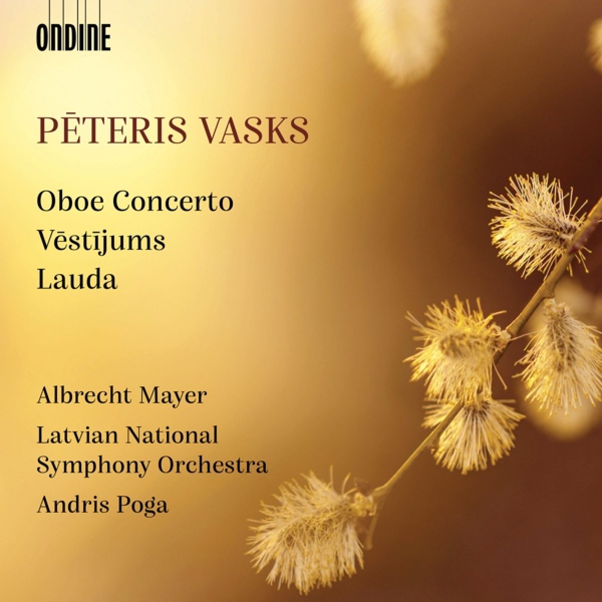 Afbeelding van Albrecht Mayer, Latvian National Symphony Orchestra, Andris Poga - Vasks: Oboe Concerto - Vestijums - Lauda