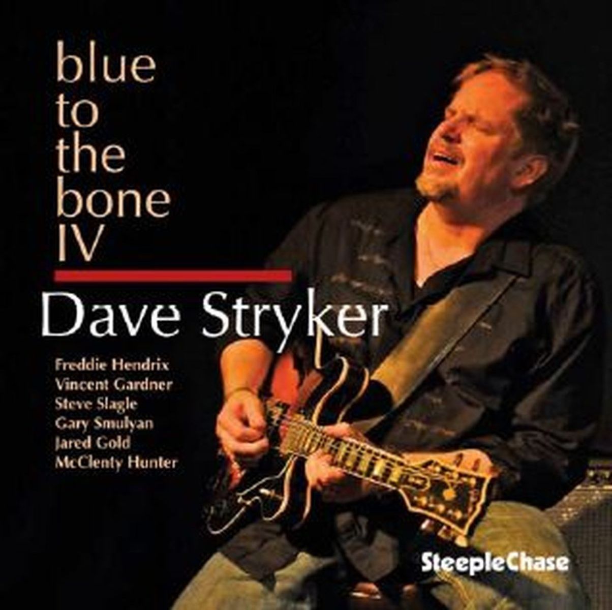 Afbeelding van Dave Stryker - Blue To The Bone IV