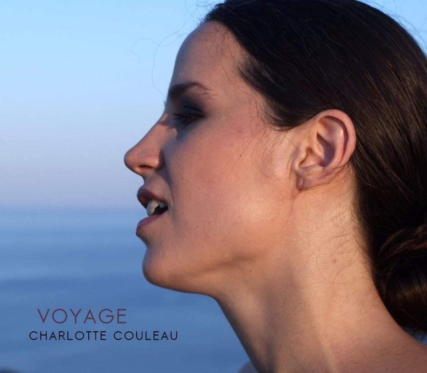 Afbeelding van Charlotte Couleau - Voyage