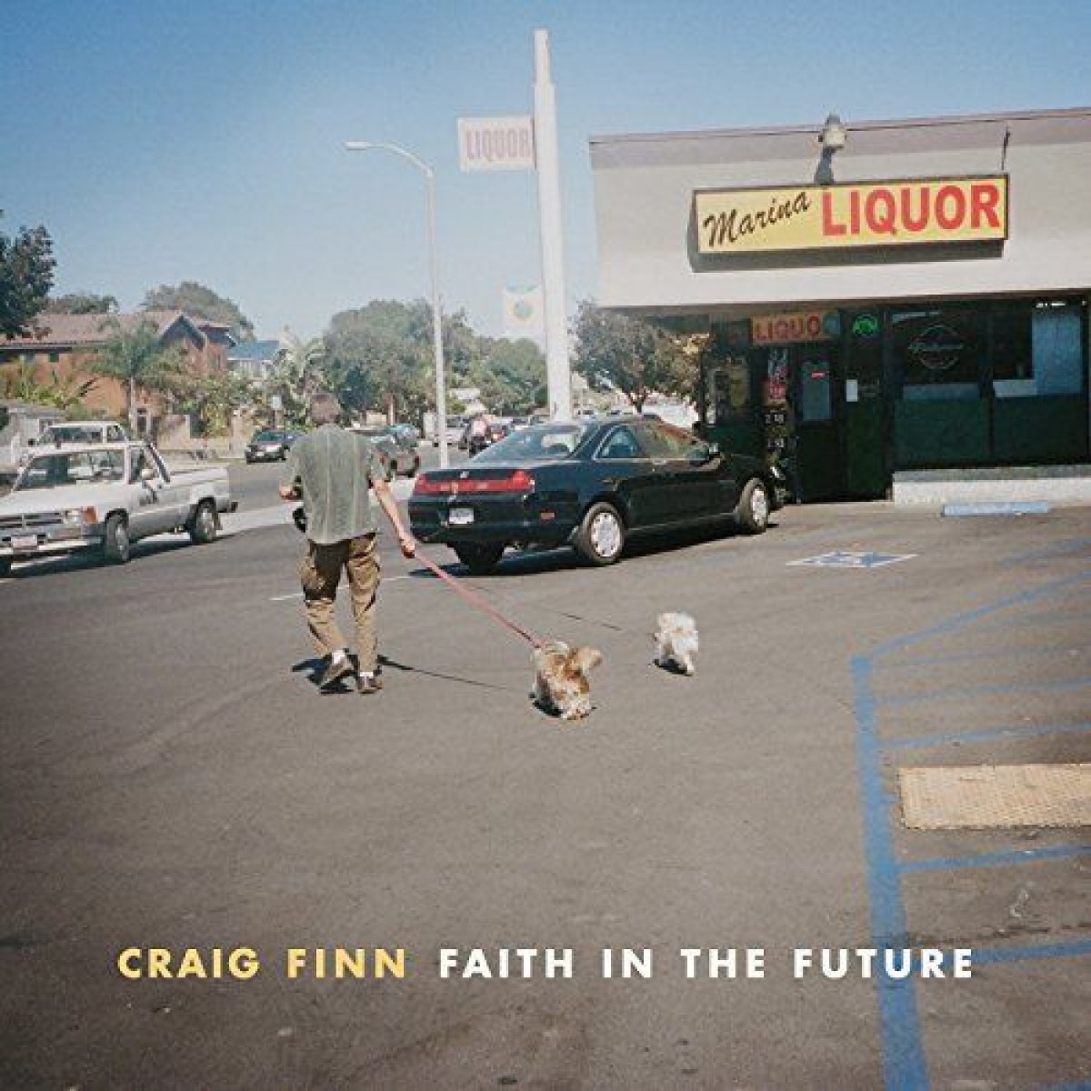 Afbeelding van Craig Finn - Faith In The Future
