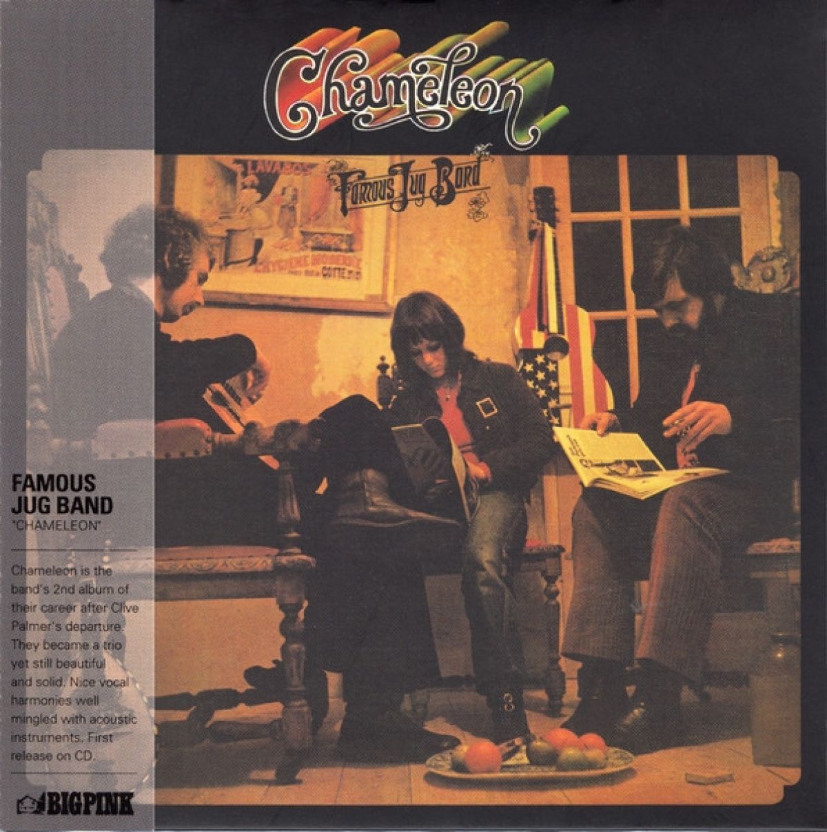 Afbeelding van Famous Jug Band - Chameleon