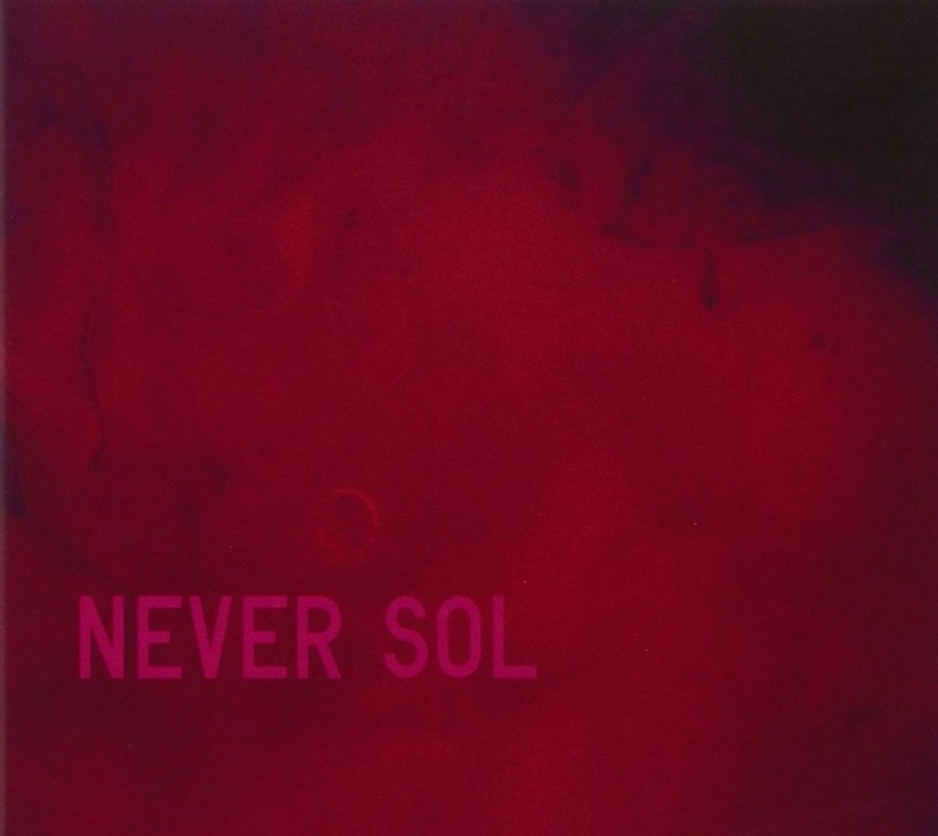 Afbeelding van Never Sol - Under Quiet