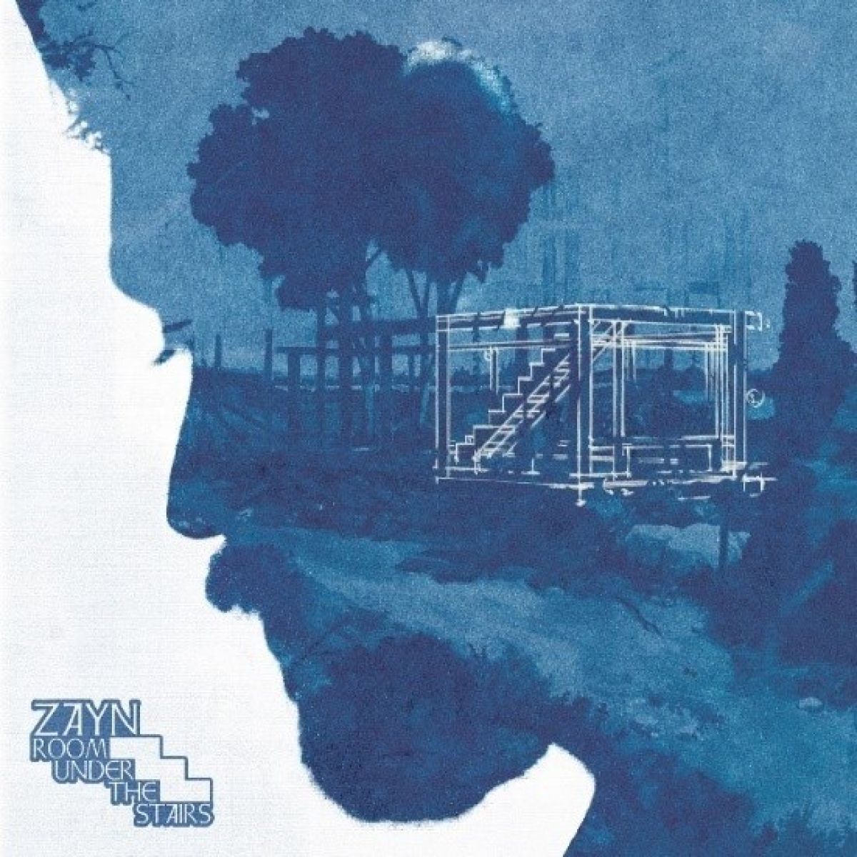 Zayn Malik - Room Under The Stairs