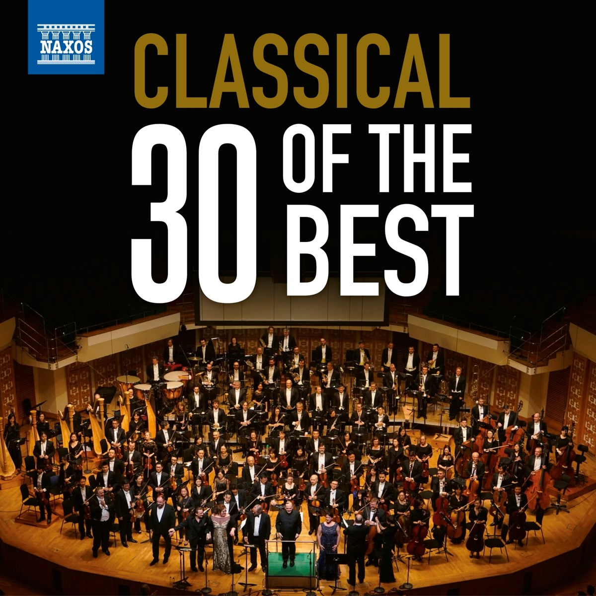 Idil Biret & Antoni Wit & Capella Istropolitana - Classical Music: 30 Of The Best