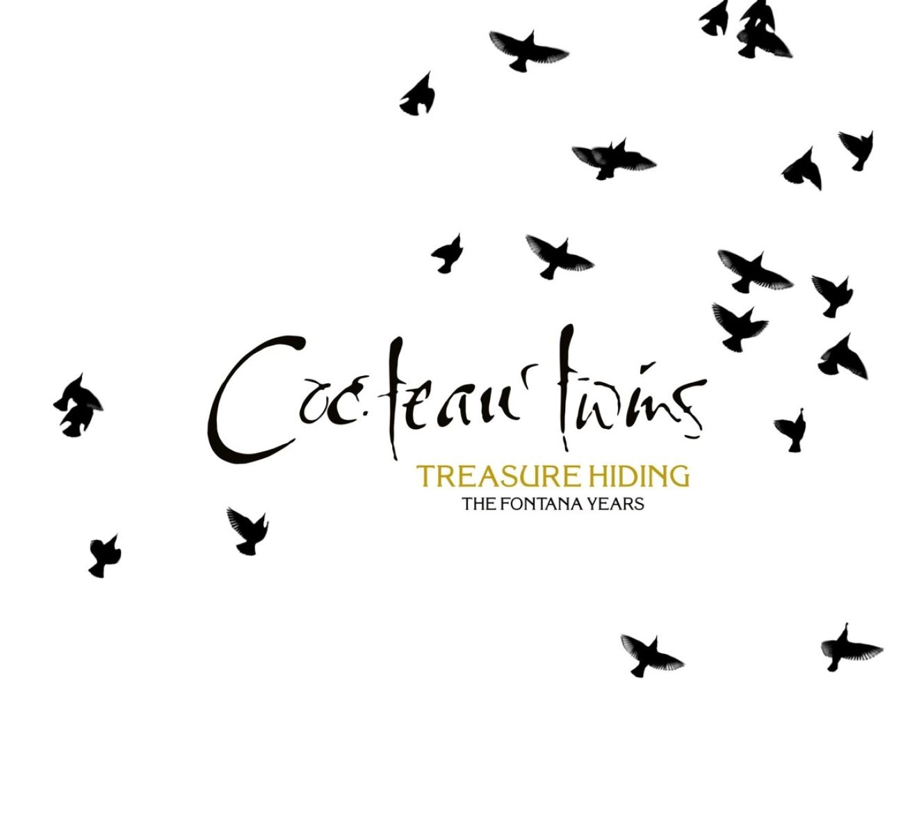 Afbeelding van Cocteau Twins - Treasure Hiding (The Fontana Years)