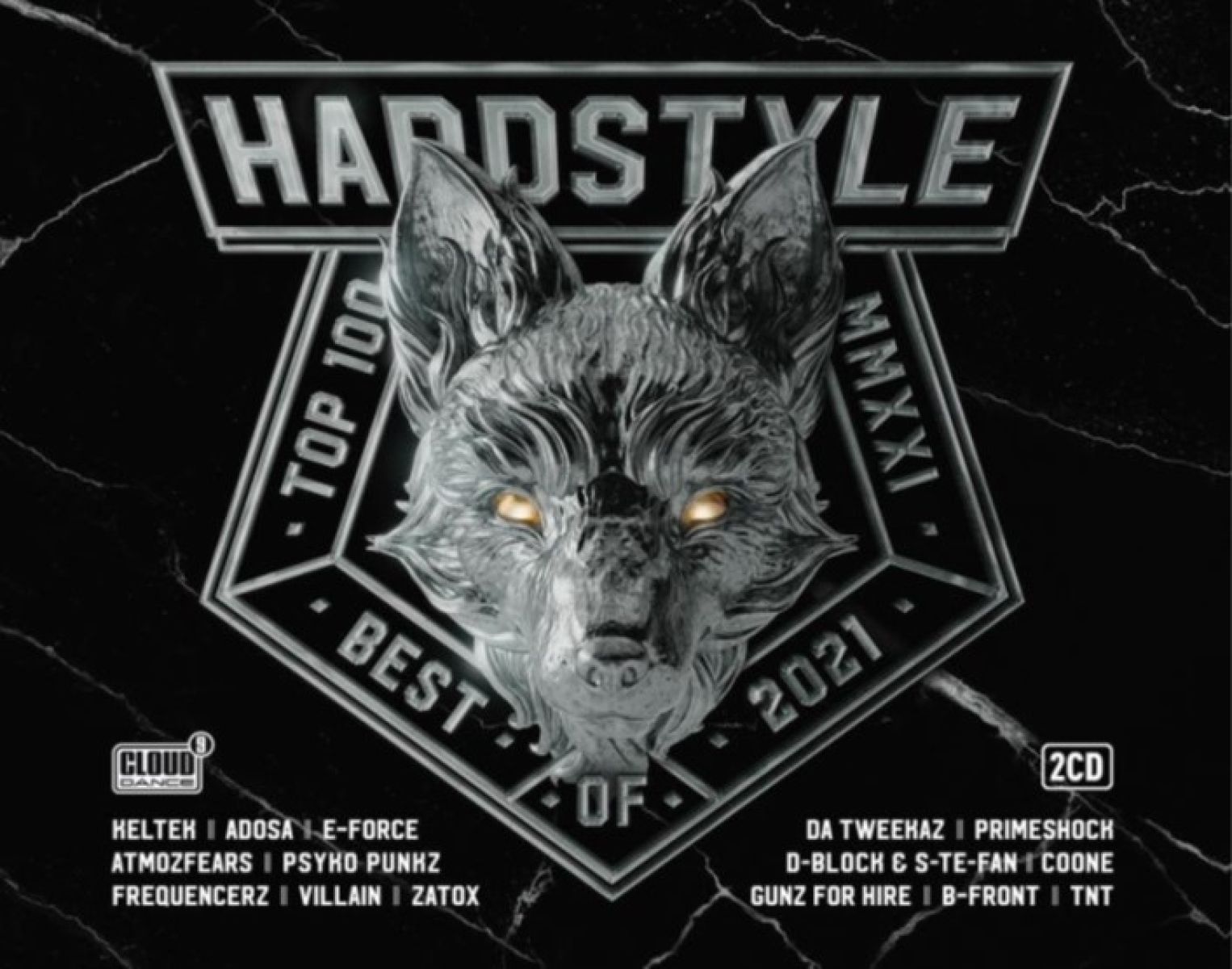 Afbeelding van Various Artists - Hardstyle Top 100 Best Of 2021