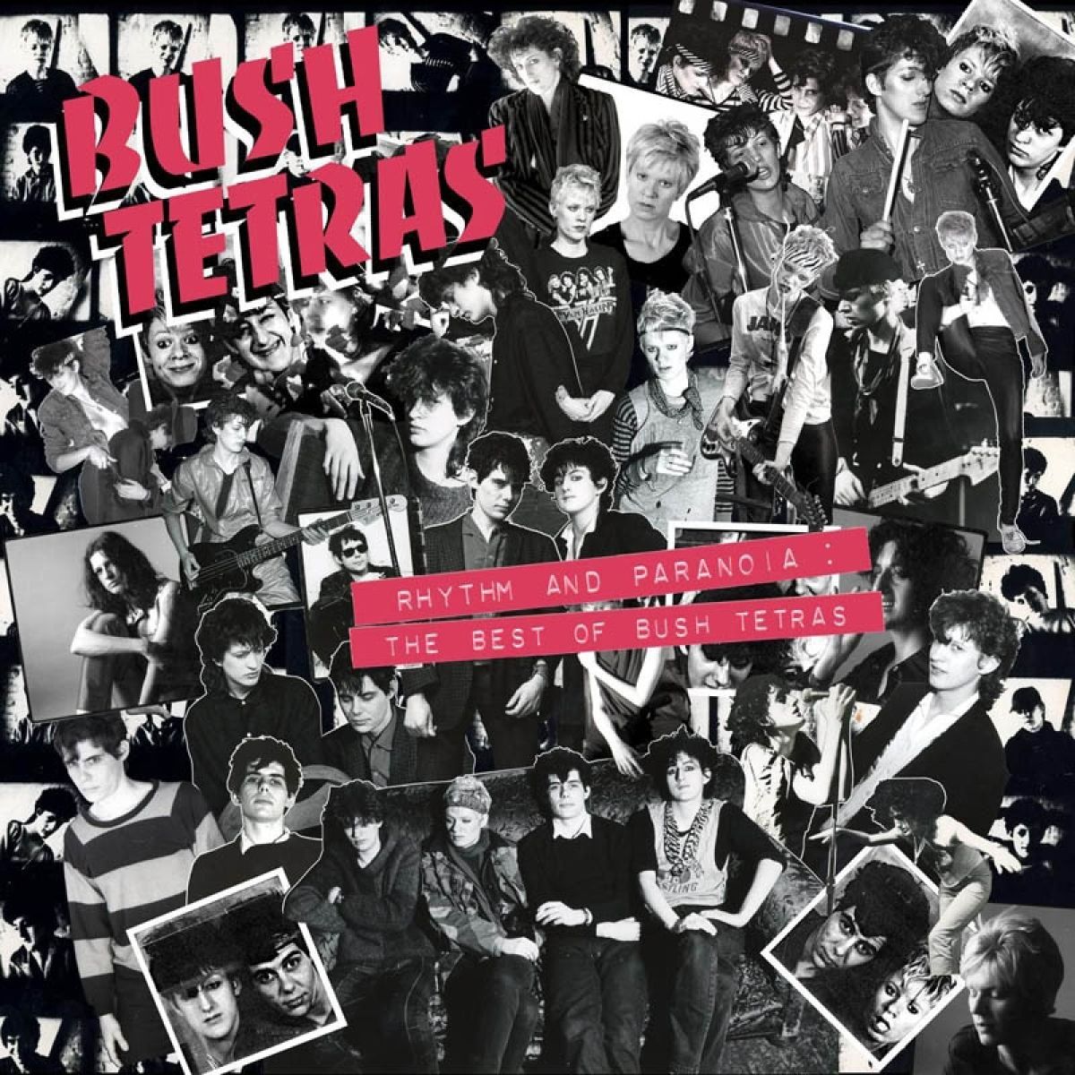 Afbeelding van Bush Tetras - Rhythm and Paranoia: The Best of Bush Tetras