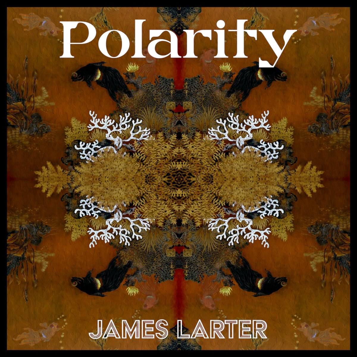 James Larter - Polarity