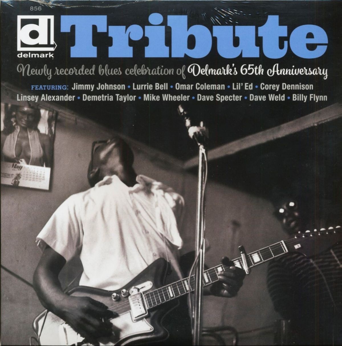 Afbeelding van Tribute: Newly Recorded Blues Celebration Of Delm