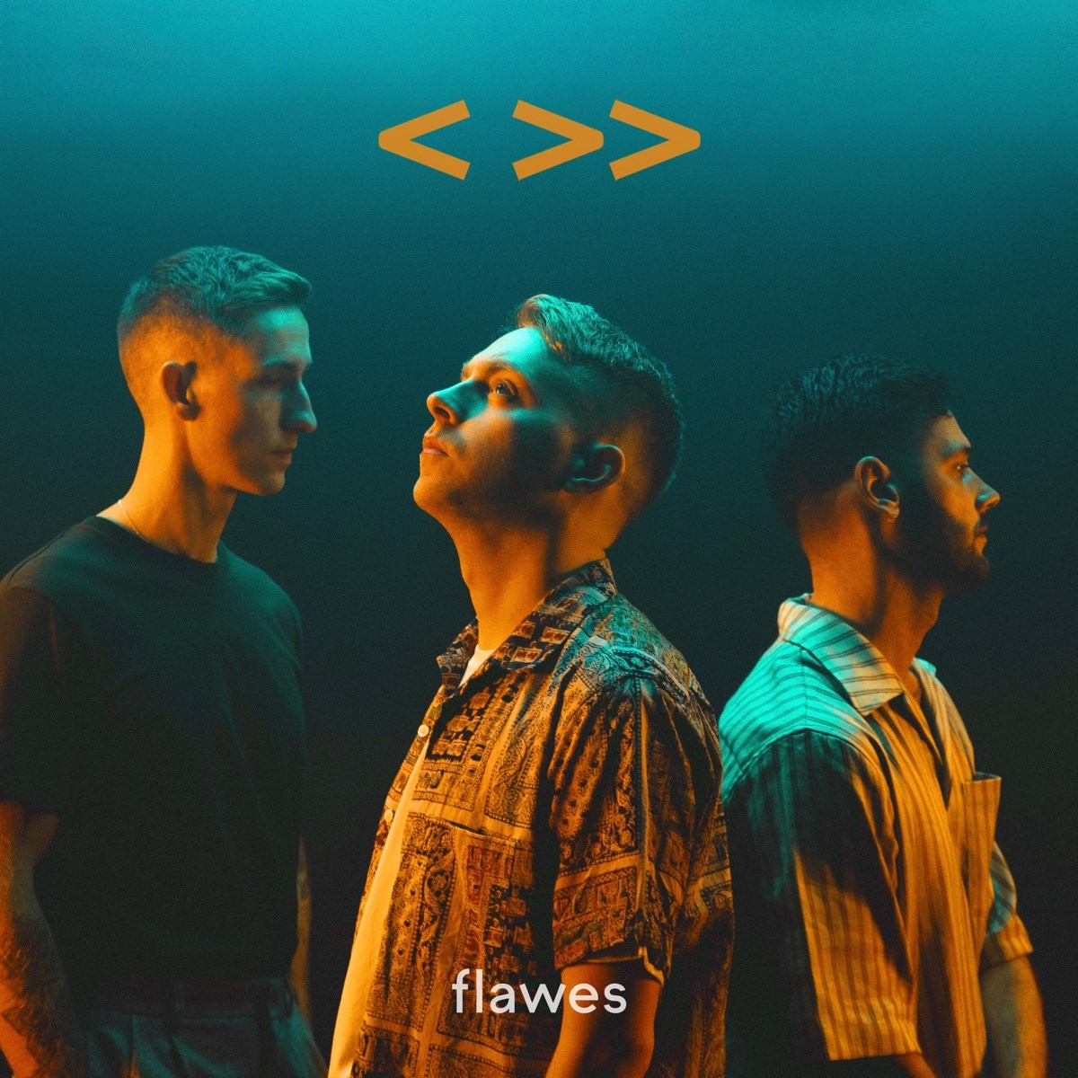 Afbeelding van Flawes - One Step Back, Two Steps Forward
