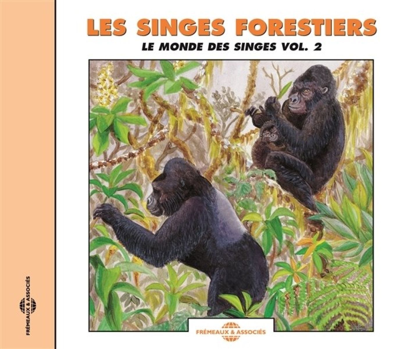 Afbeelding van Catherine Bouchain, Jean-Pierre Gautier - Les singes Forestiers. Le Monde Des Singes Vol. 2