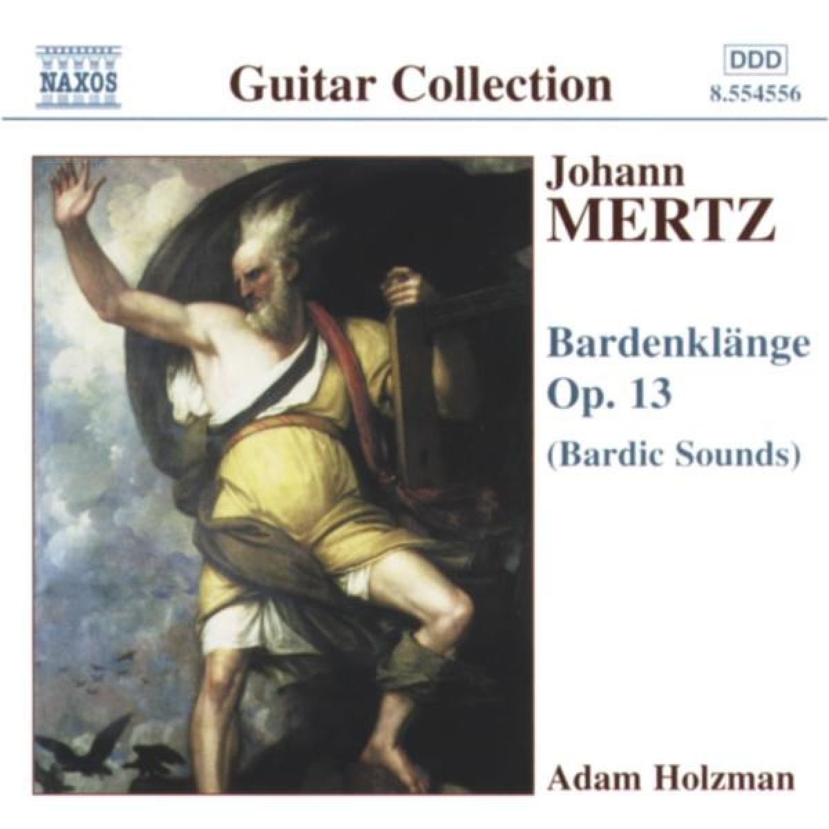 Afbeelding van Adam Holzman - Bardenklange (Bardic Sounds)