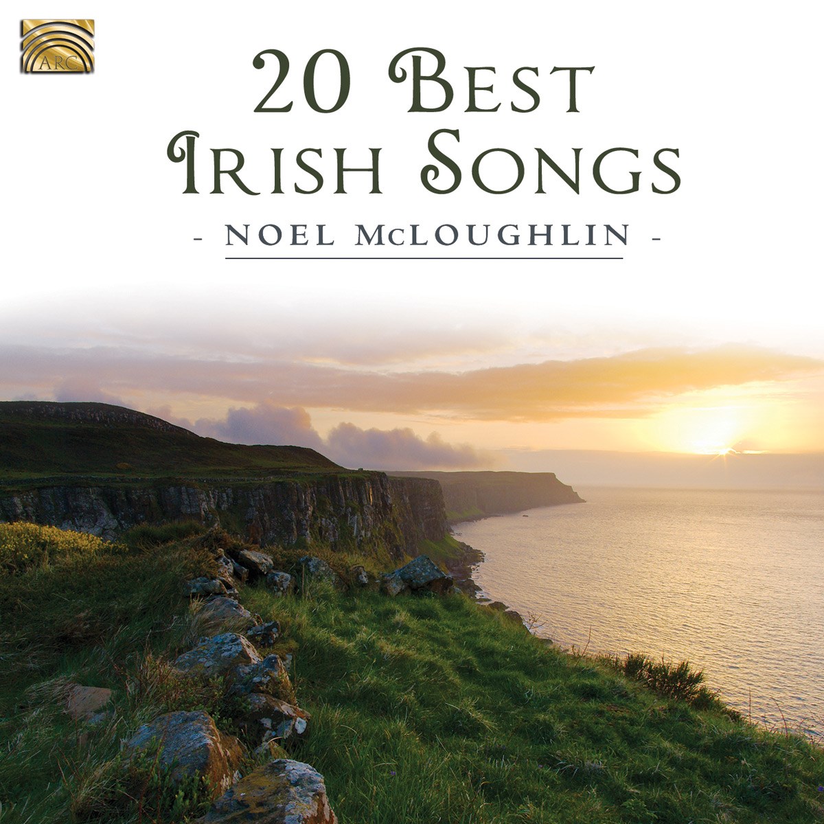 Afbeelding van 20 Best Irish Songs