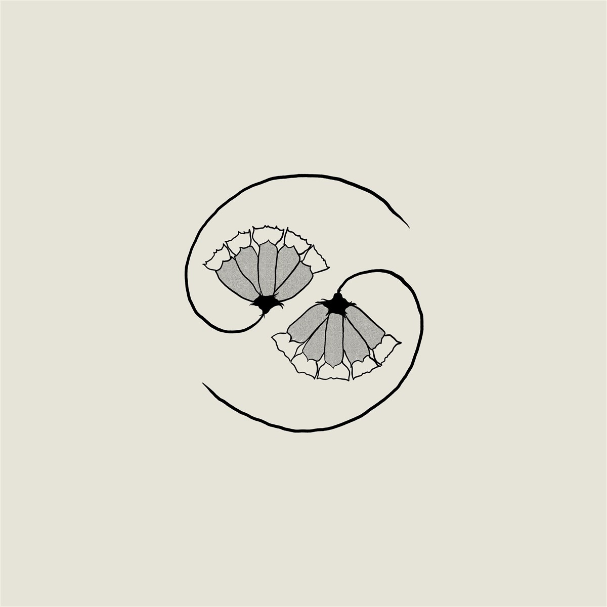 Afbeelding van Godspeed You! Black Emperor - G_d's Pee At State's End!