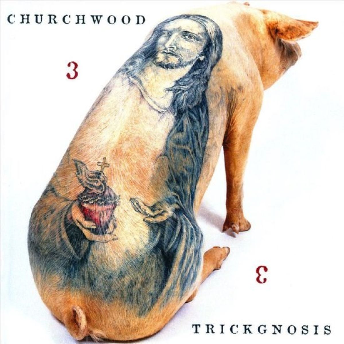 Afbeelding van Churchwood - 3: Trickgnosis