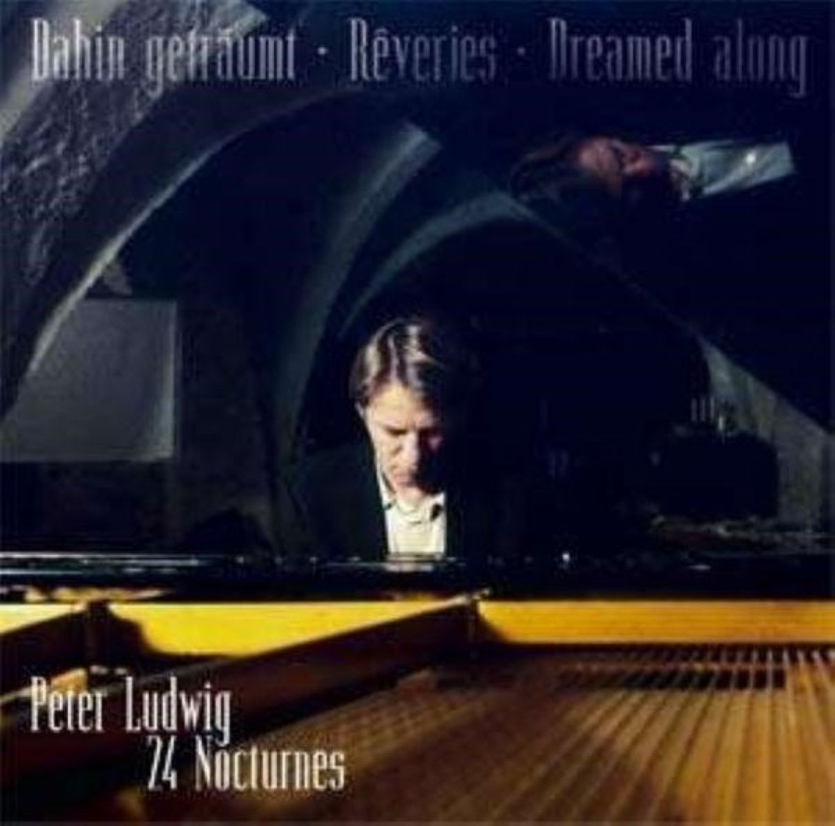 Afbeelding van Peter Ludwig - Dahin Getraumt - Reveries - Dreamed along, 24 Nocturnes