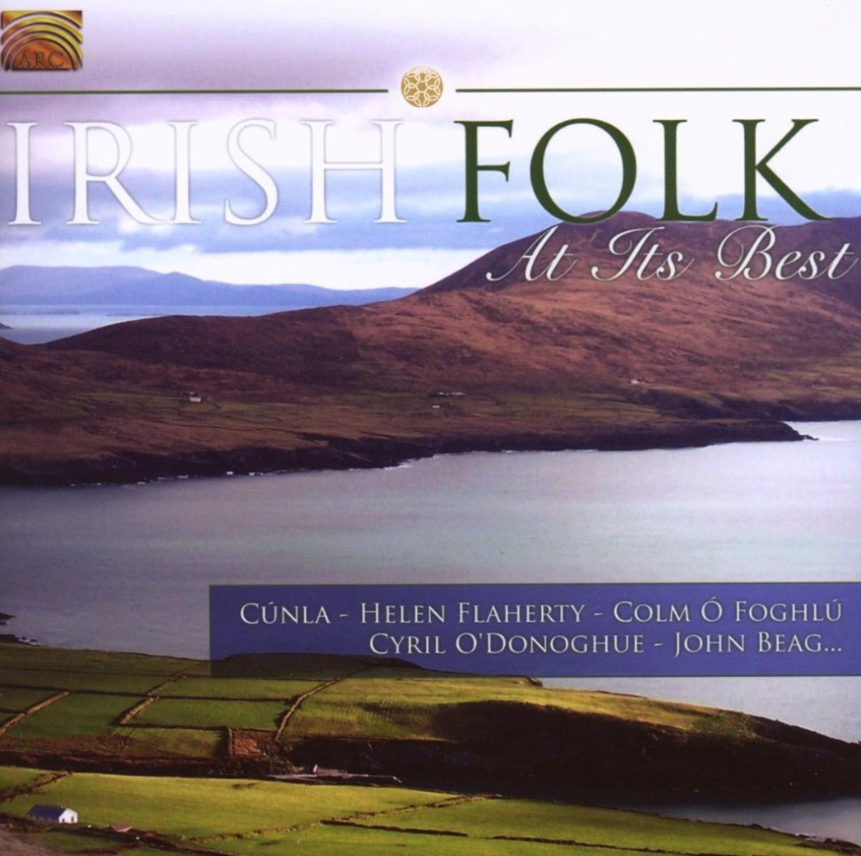 Afbeelding van Various Artists - Irish Folk At Its Best