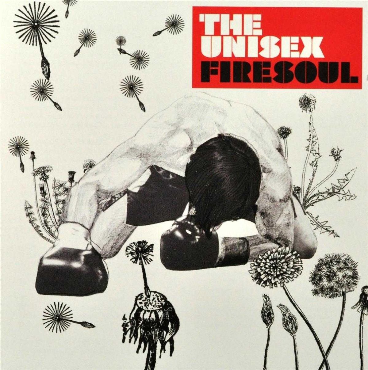 Afbeelding van The Unisex - Firesoul