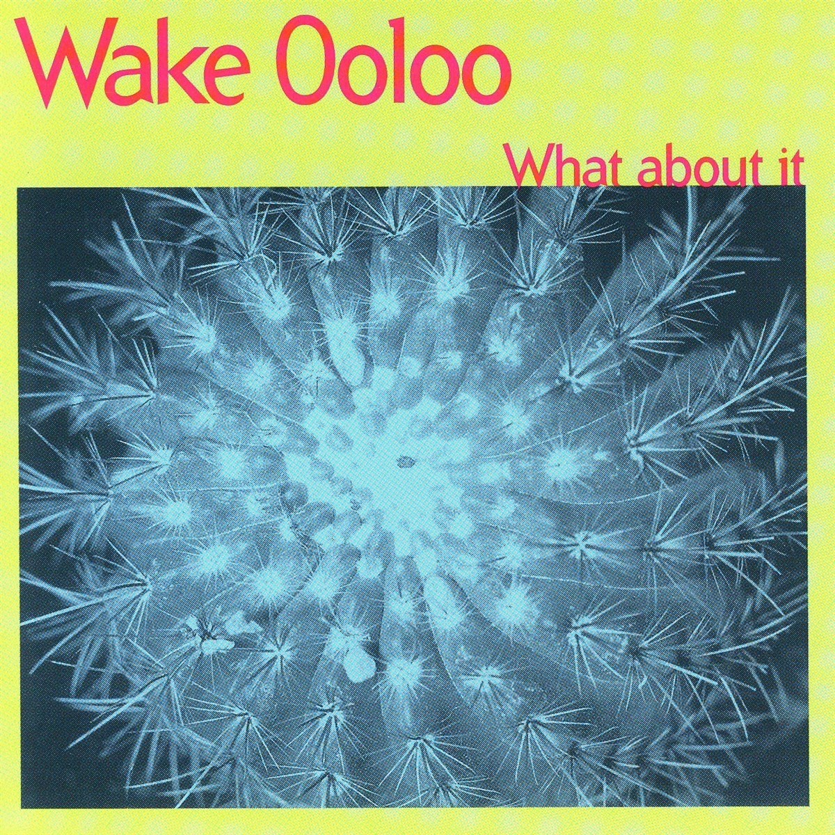 Afbeelding van Wake Ooloo - What About It