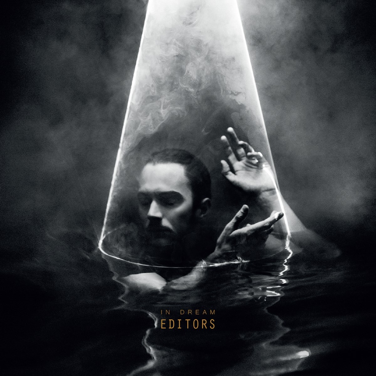 Afbeelding van Editors - In Dream