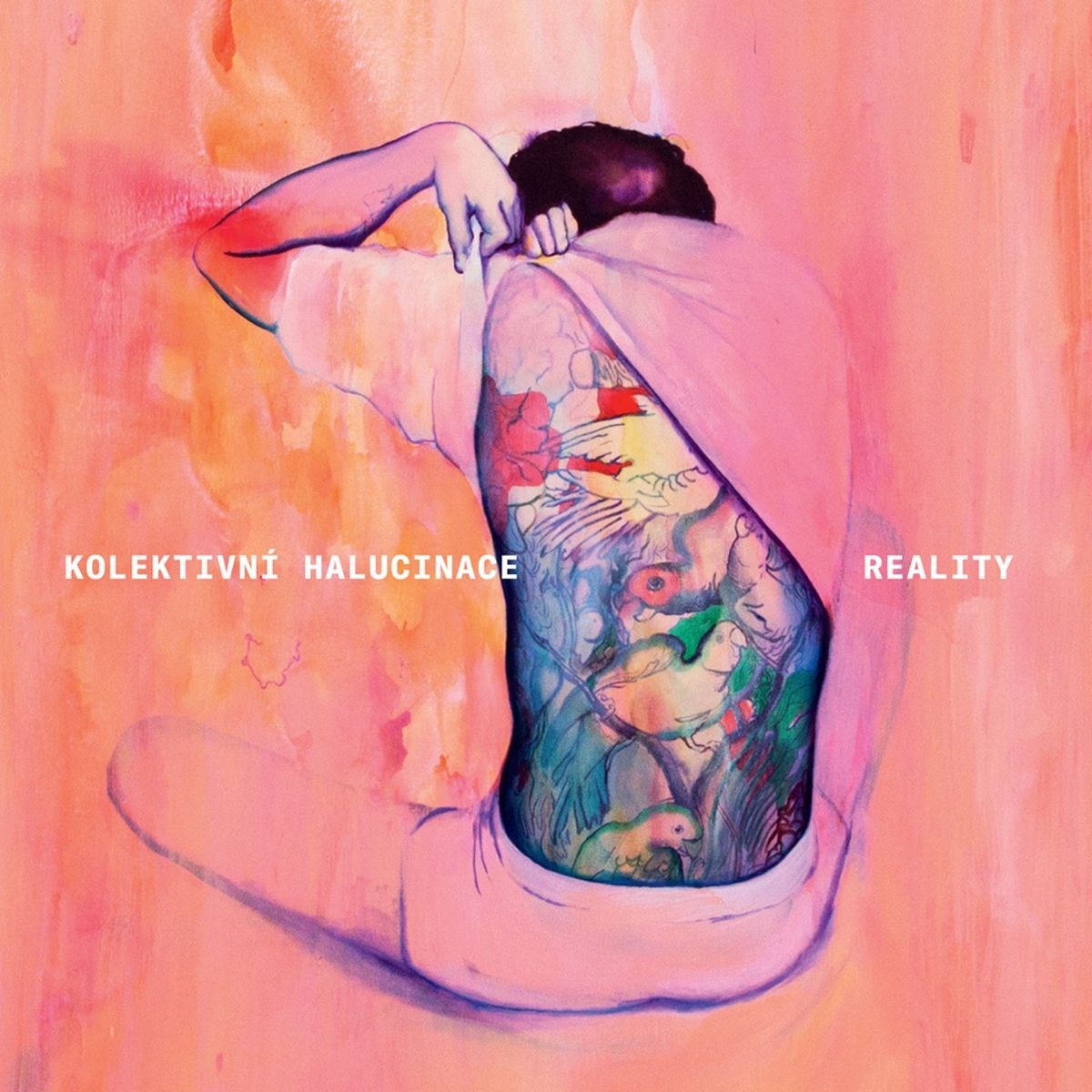 Afbeelding van Kolektivni Halucinace - Reality