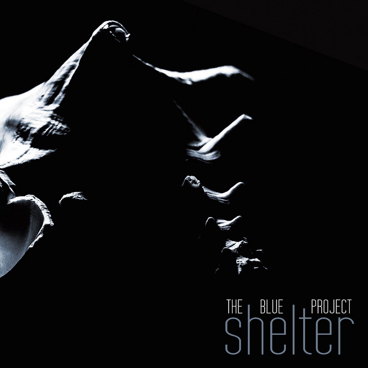 Blue Project - Shelter