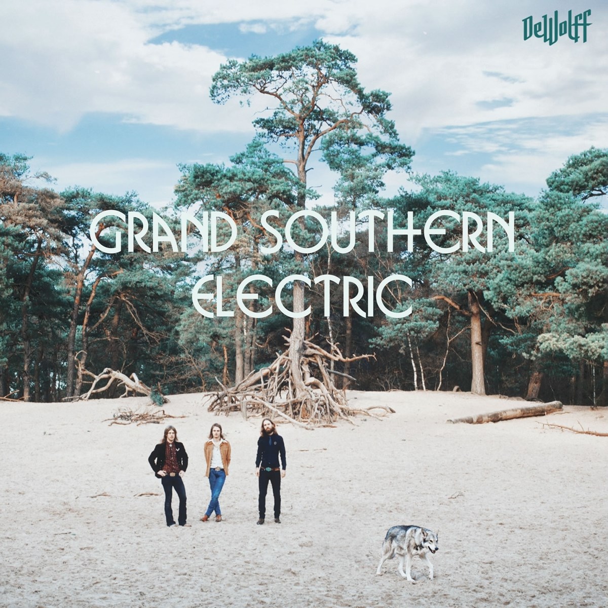 Afbeelding van Dewolff - Grand Southern Electric