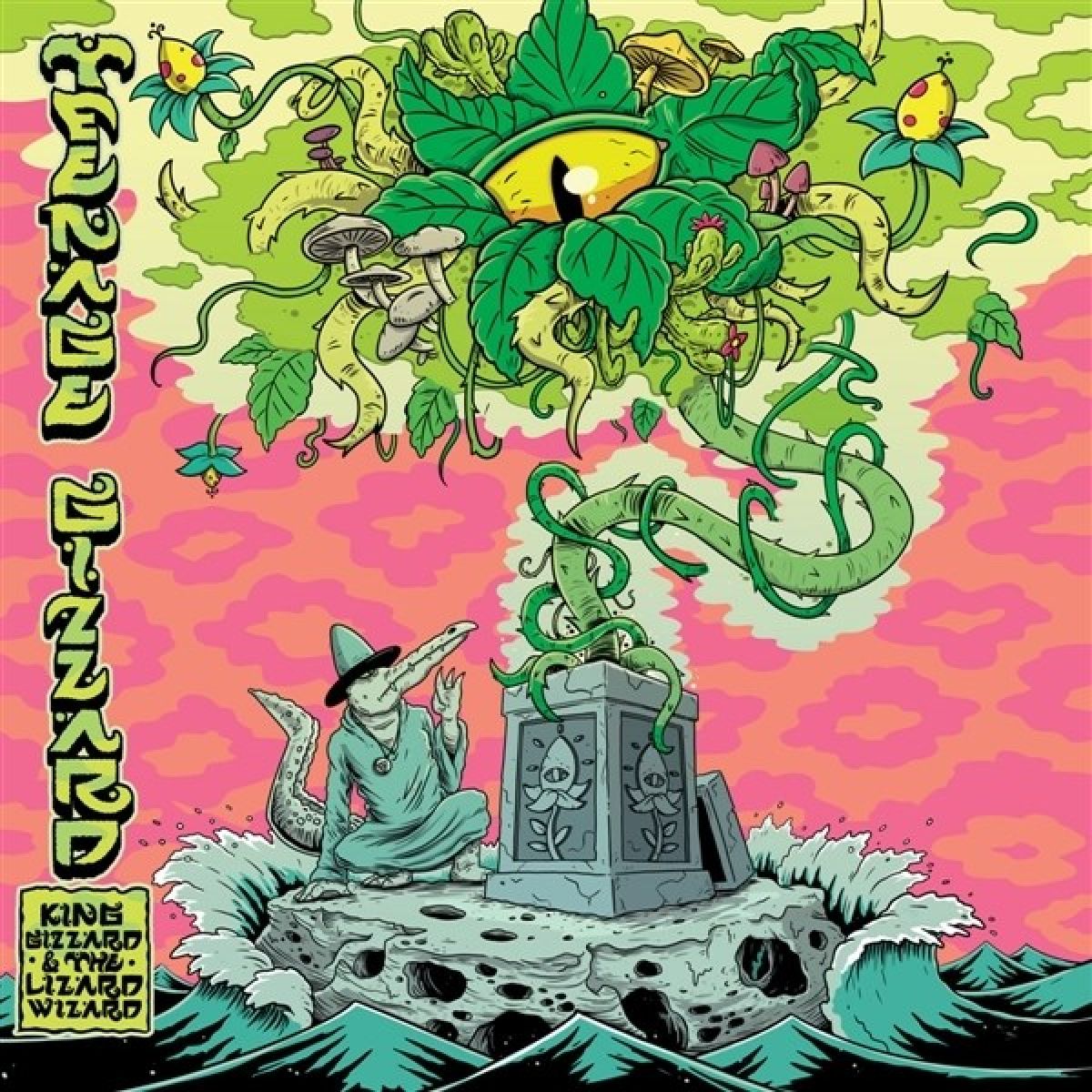 King Gizzard & The Lizard Wizard - Teenage Gizzard