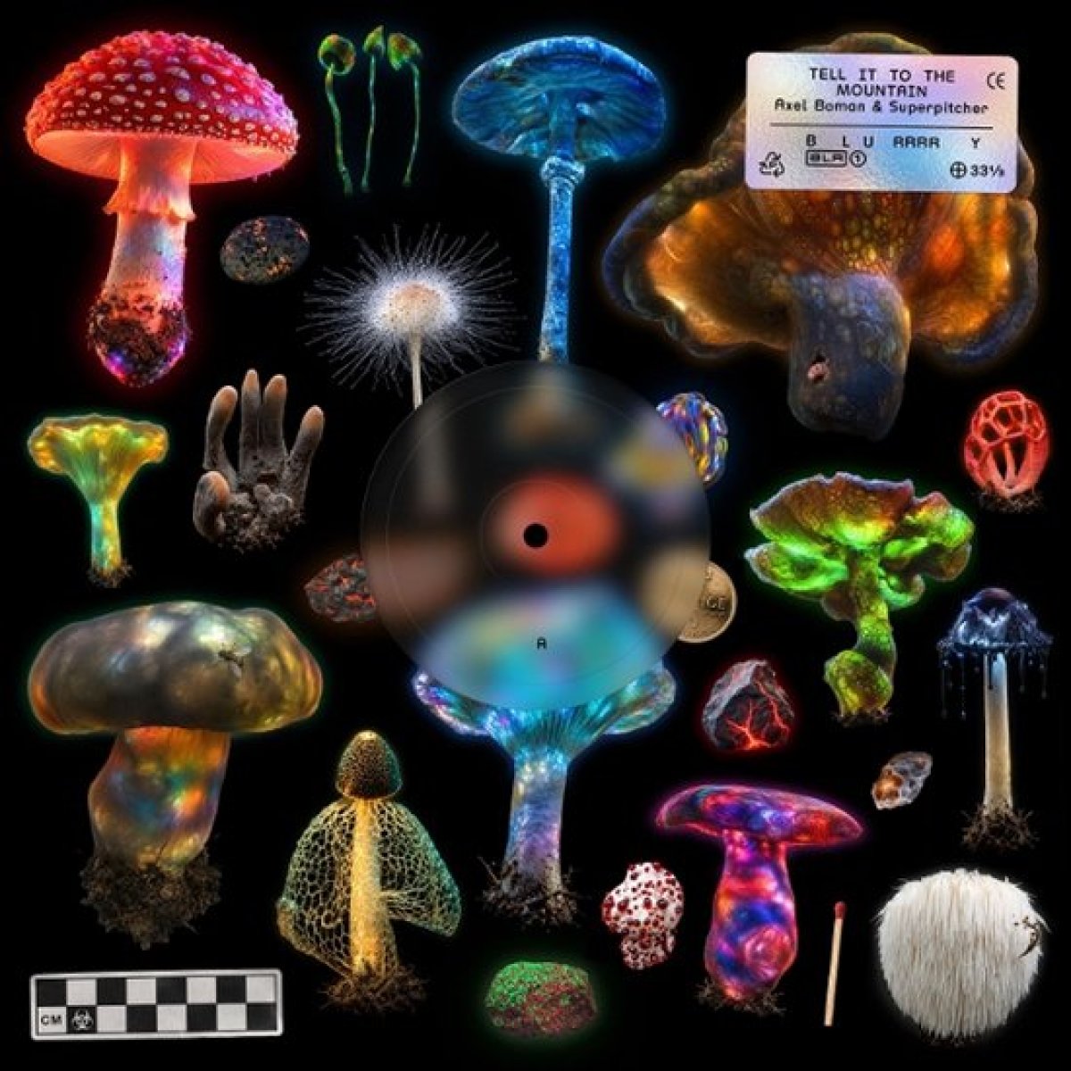 Afbeelding van Axel Boman - Tell It To The Mountain