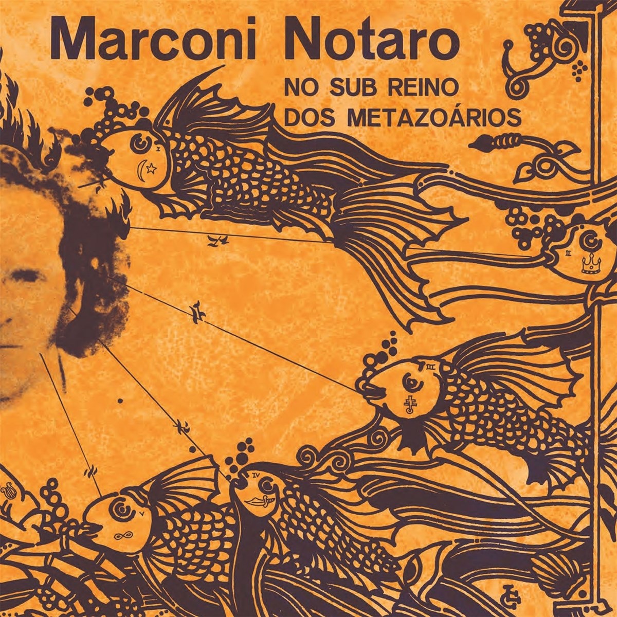 Afbeelding van Marconi Notaro - No Sub Reino Dos Metazoários
