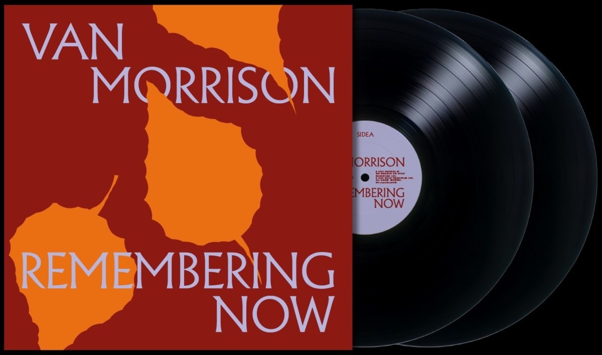 Afbeelding van Van Morrison - Remembering Now