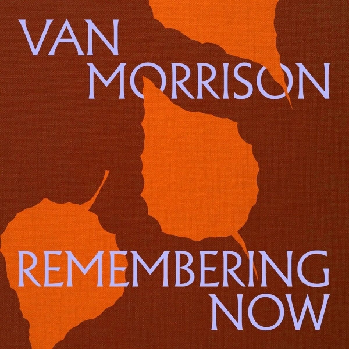 Afbeelding van Van Morrison - Remembering Now