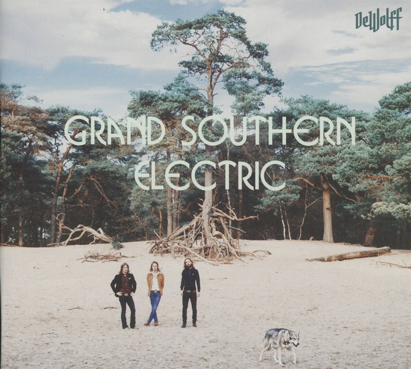 Afbeelding van Dewolff - Grand Southern Electric