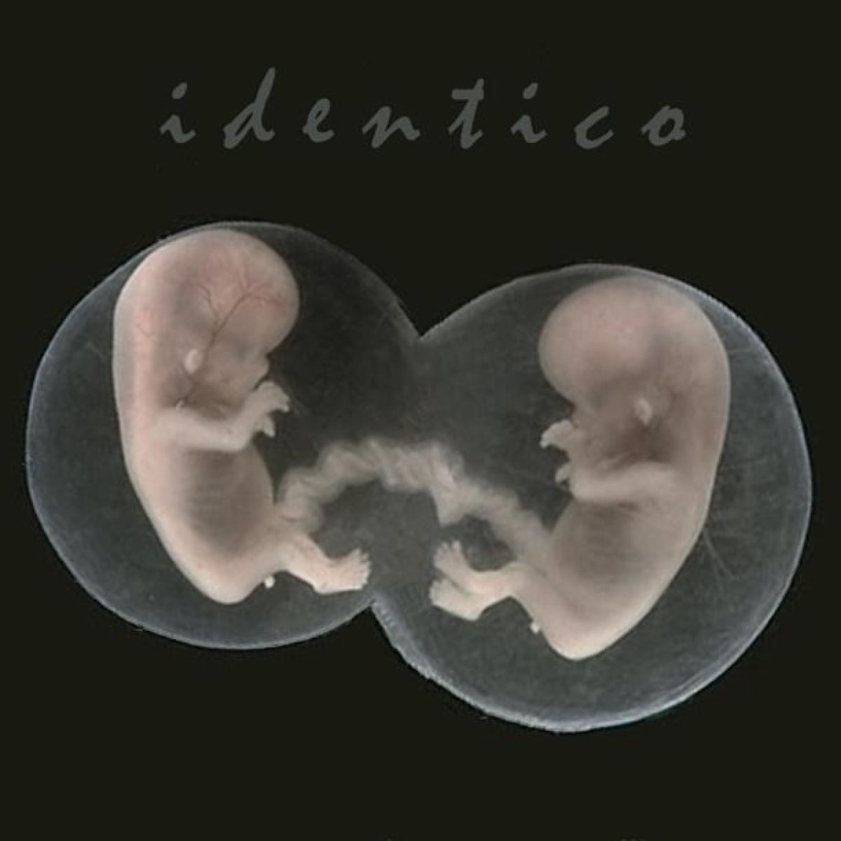 Afbeelding van Sad Lovers And Giants - Identico
