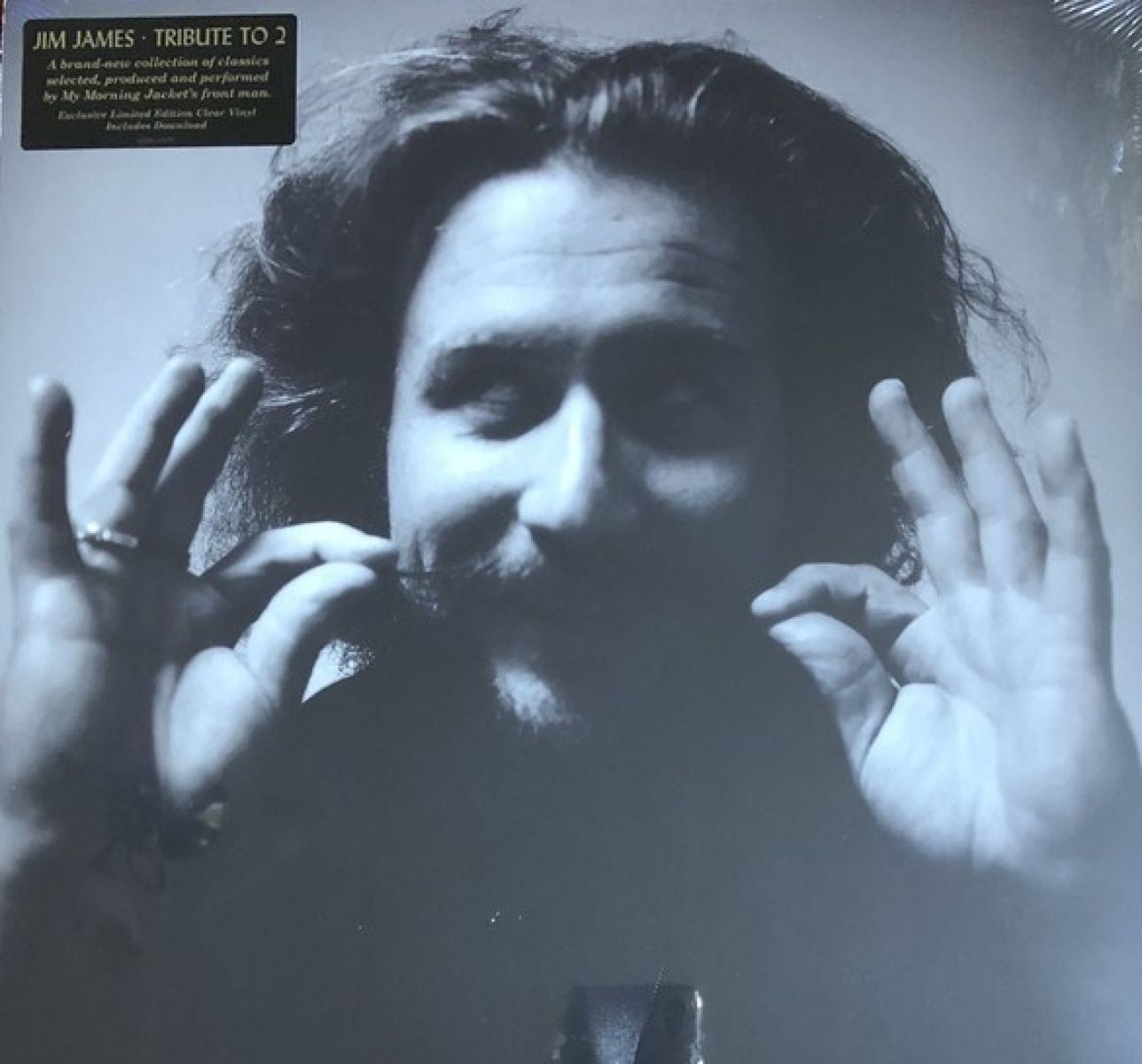 Afbeelding van Jim James - Tribute To 2