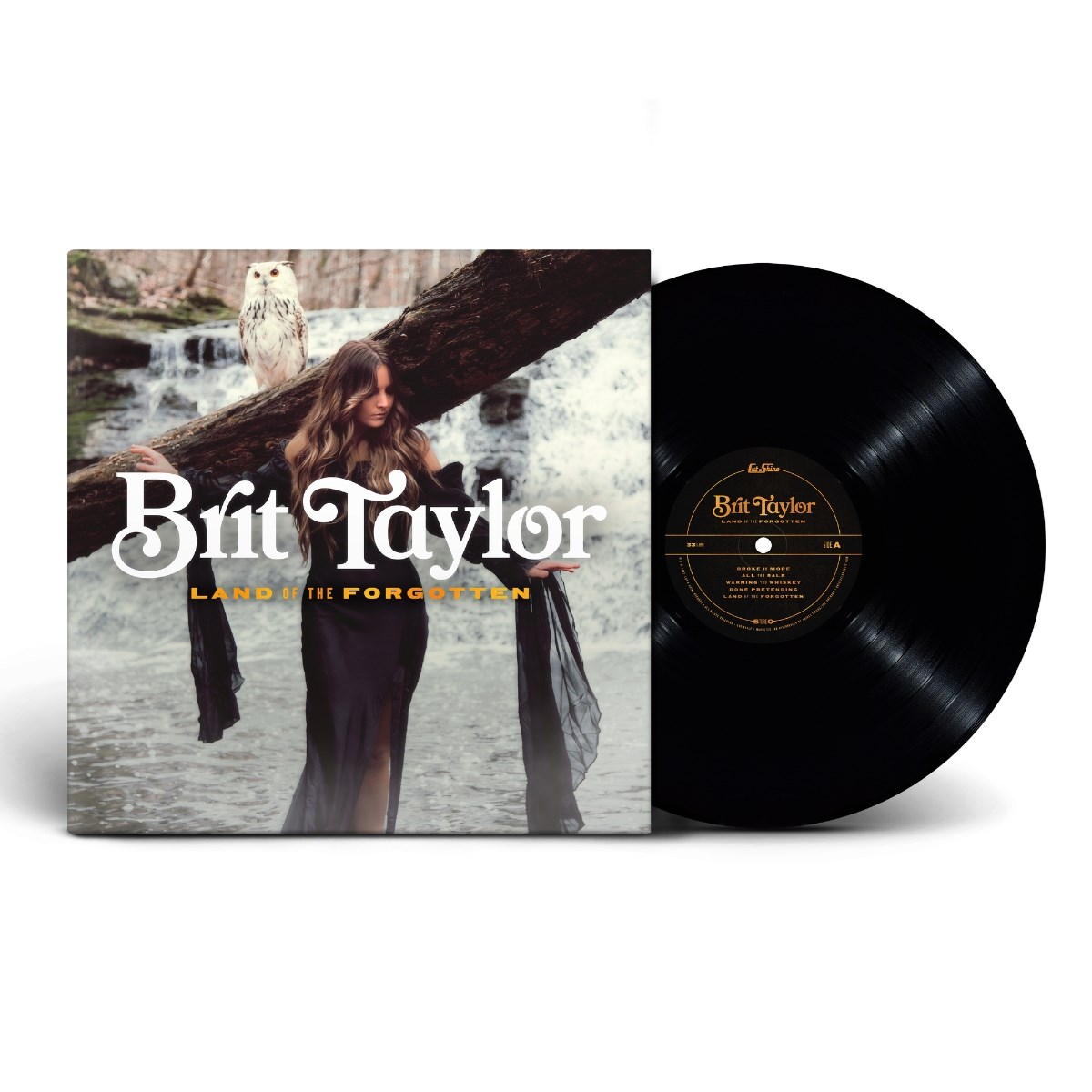 Afbeelding van Brit Taylor - Land Of The Forgotten