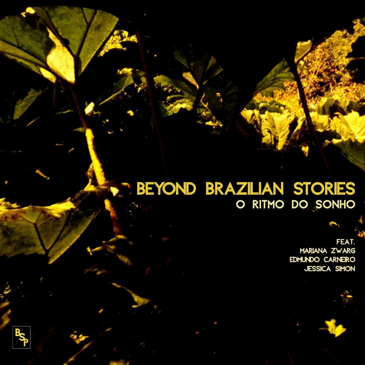 Afbeelding van Beyond Brazilian Stories - O Ritmo Do Sonho