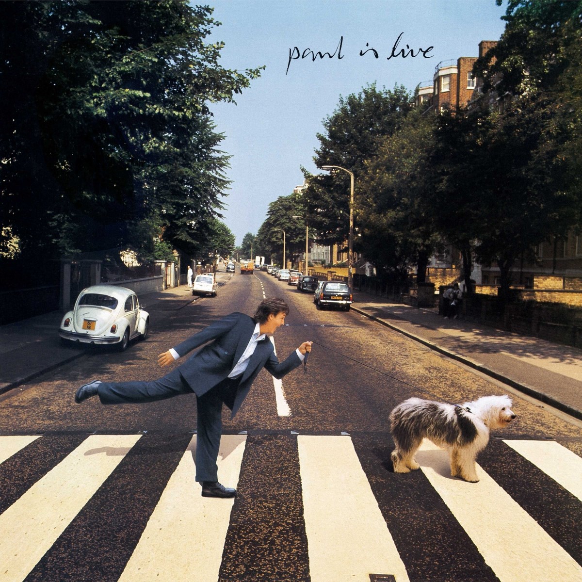 Afbeelding van Paul McCartney - Paul Is Live